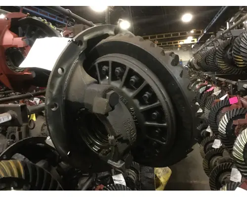EATON-SPICER 19060SR390 DIFFERENTIAL ASSEMBLY REAR REAR