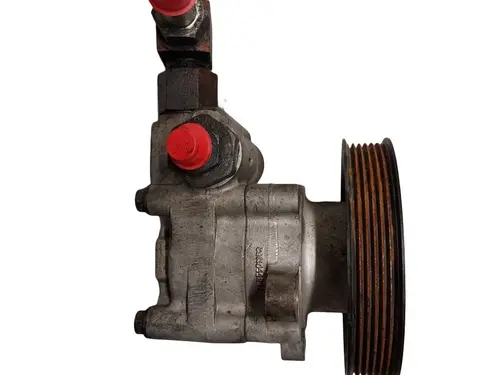 FORD 6.8 LPG Power Steering Pump OEM# P11BB-03E021-AA, 10017446 in 
