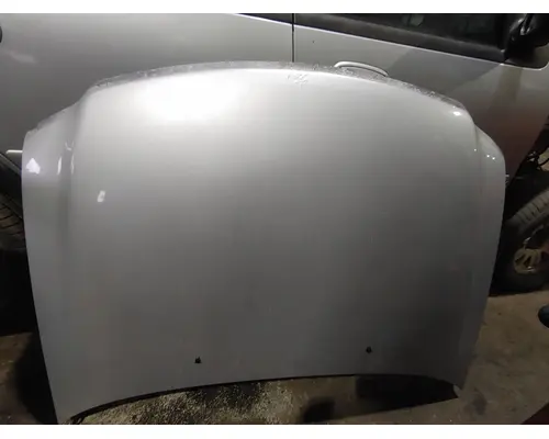 FORD Expidition Hood