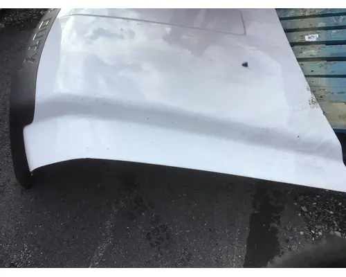 FORD F-450 Hood