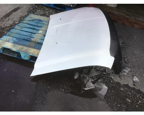 FORD F-450 Hood