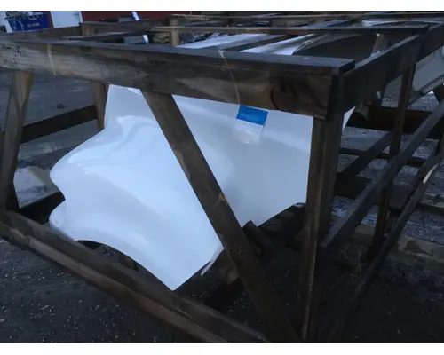 FORD F Series HOOD