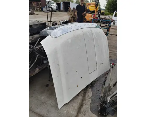 FORD F350 Hood