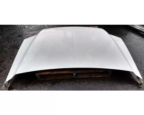 FORD F450 Hood