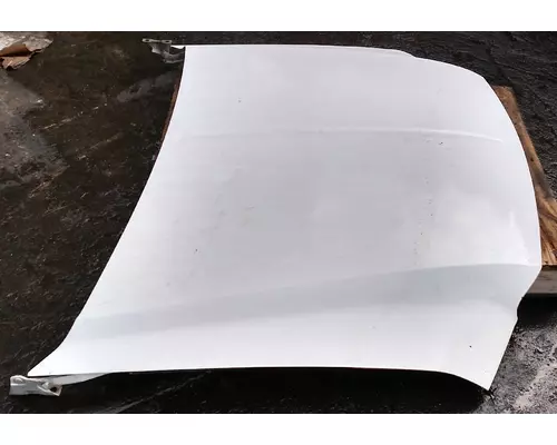 FORD F450 Hood