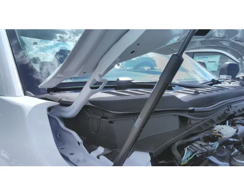 FORD F550SD (SUPER DUTY) HOOD HINGE