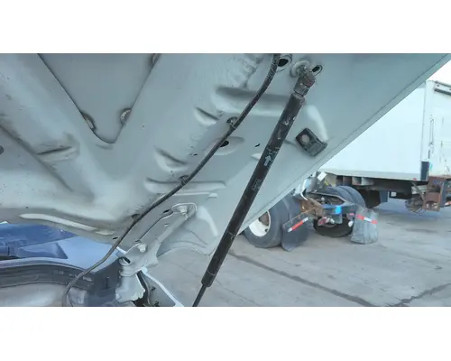 FORD F550SD (SUPER DUTY) HOOD SHOCKSTRUT