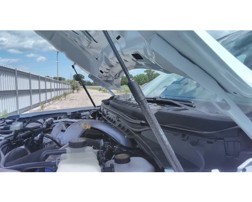 FORD F550SD (SUPER DUTY) HOOD SHOCKSTRUT