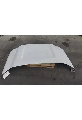 FORD F550SD (SUPER DUTY) HOOD