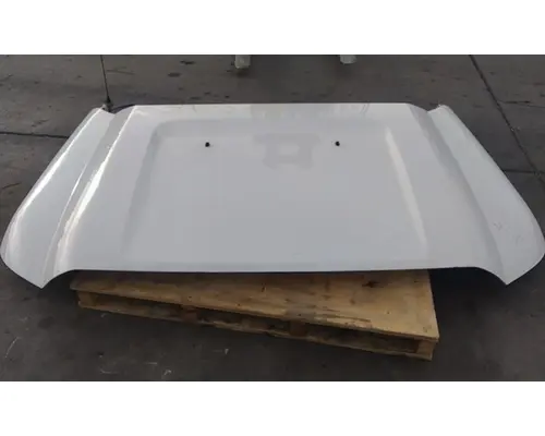 FORD F550SD (SUPER DUTY) HOOD