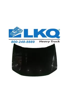 FORD F550SD (SUPER DUTY) HOOD