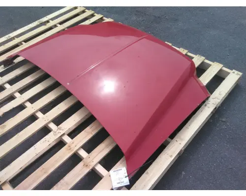 FORD F550SD (SUPER DUTY) HOOD