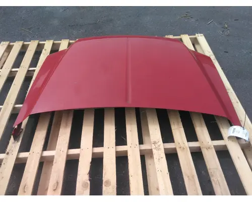 FORD F550SD (SUPER DUTY) HOOD