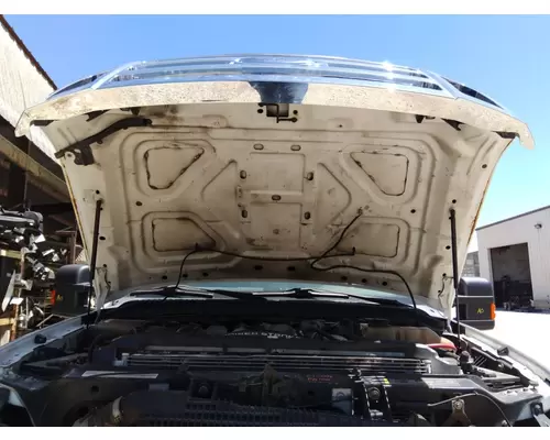 FORD F550SD (SUPER DUTY) HOOD