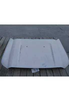 FORD F550SD (SUPER DUTY) HOOD