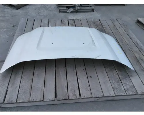 FORD F550SD (SUPER DUTY) HOOD