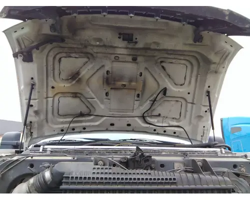 FORD F550SD (SUPER DUTY) HOOD