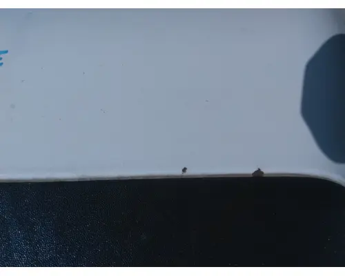 FORD F550SD (SUPER DUTY) HOOD