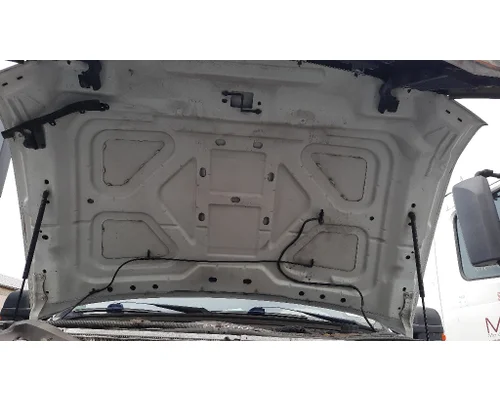 FORD F550SD (SUPER DUTY) HOOD