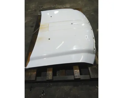 FORD F550SD (SUPER DUTY) HOOD