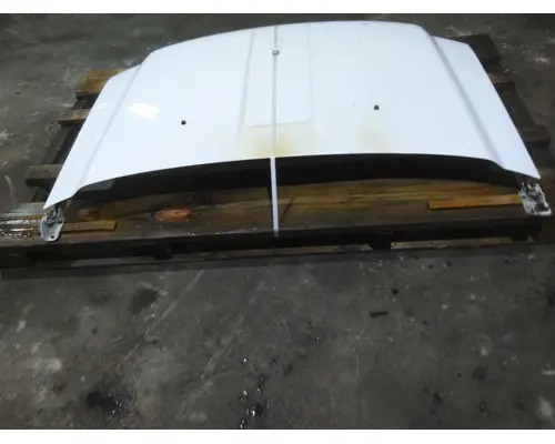 FORD F550SD (SUPER DUTY) HOOD