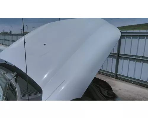 FORD F550SD (SUPER DUTY) HOOD