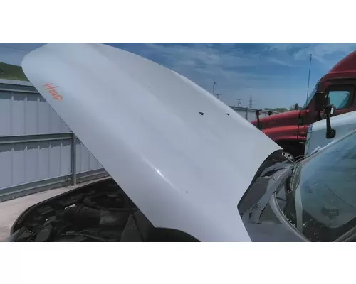 FORD F550SD (SUPER DUTY) HOOD