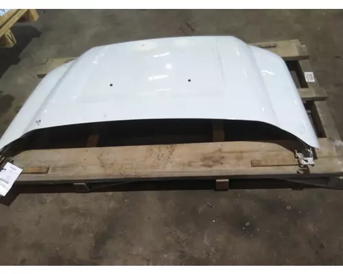 FORD F550SD (SUPER DUTY) HOOD