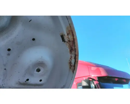 FORD F550SD (SUPER DUTY) HOOD