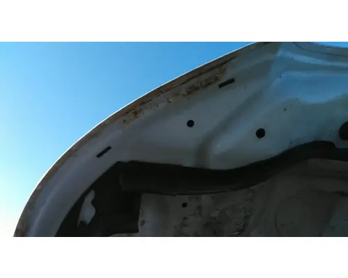 FORD F550SD (SUPER DUTY) HOOD