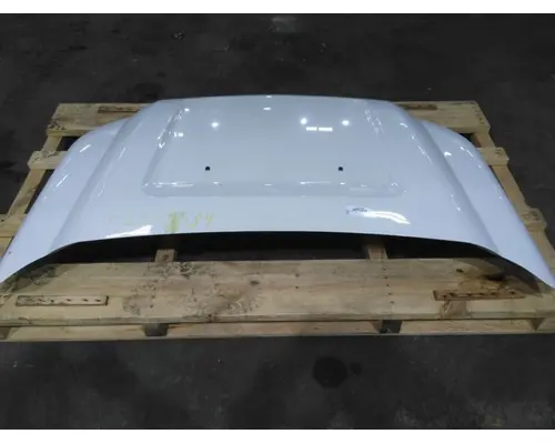 FORD F550SD (SUPER DUTY) HOOD