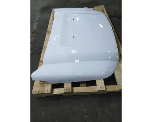 FORD F550SD (SUPER DUTY) HOOD