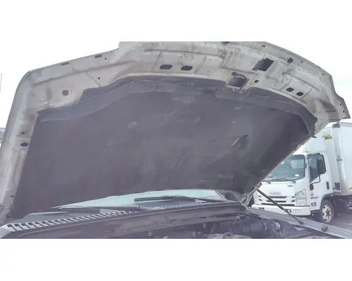 FORD F550SD (SUPER DUTY) HOOD