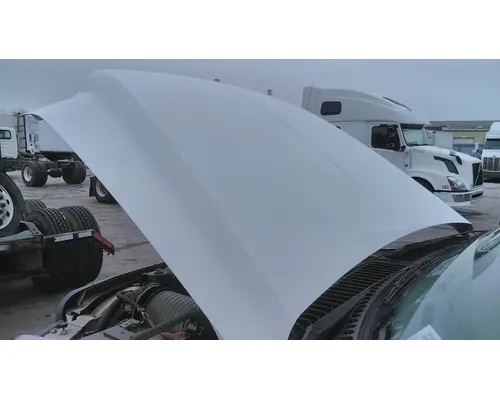 FORD F550SD (SUPER DUTY) HOOD