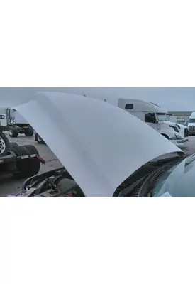 FORD F550SD (SUPER DUTY) HOOD