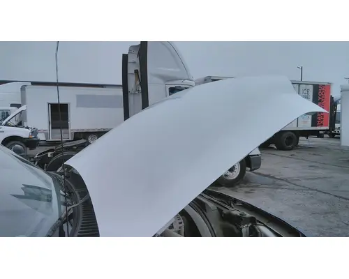 FORD F550SD (SUPER DUTY) HOOD