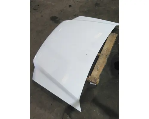 FORD F550SD (SUPER DUTY) HOOD