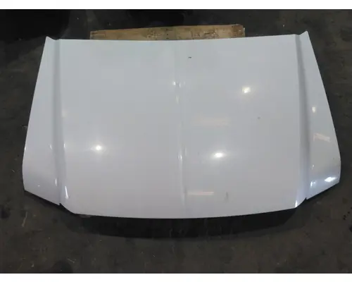 FORD F550SD (SUPER DUTY) HOOD