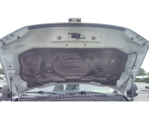 FORD F550SD (SUPER DUTY) HOOD