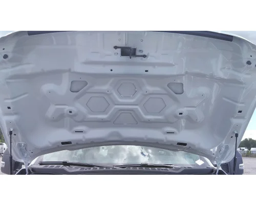 FORD F550SD (SUPER DUTY) HOOD