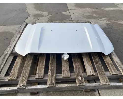 FORD F550 Hood