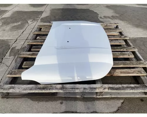 FORD F550 Hood