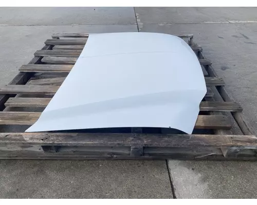 FORD F550 Hood