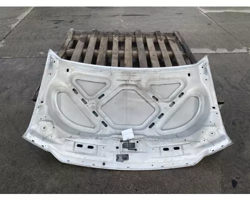 FORD F550 Hood