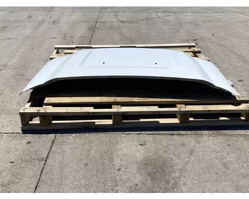 FORD F550 Hood