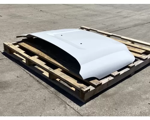 FORD F550 Hood