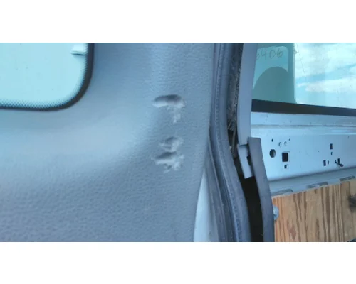 FORD F650SD (SUPER DUTY) DOOR ASSEMBLY, REAR OR BACK