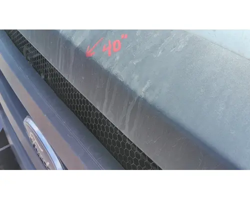 FORD F650SD (SUPER DUTY) HOOD
