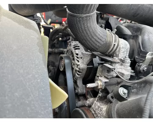 FORD F650 Alternator