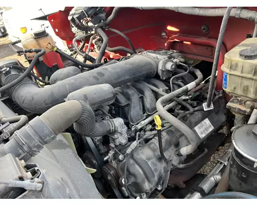 FORD F650 Cylinder Head